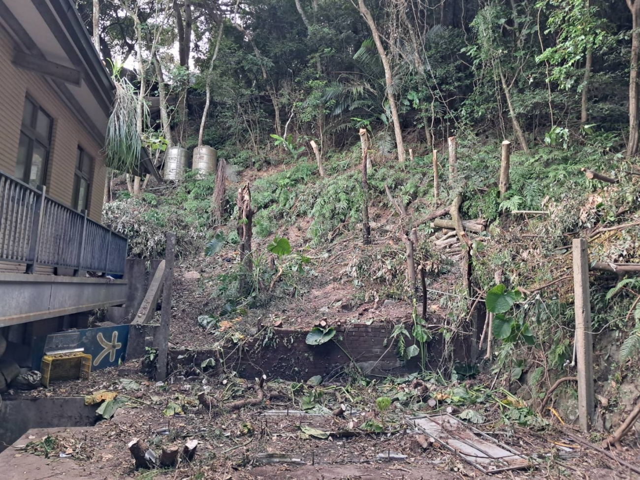 農.林地雜樹修剪.移除
