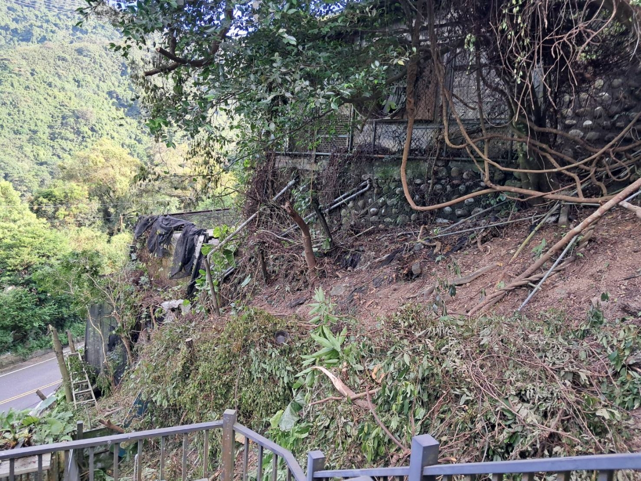 別墅區邊坡整地，藤蔓.雜樹.竹林移除