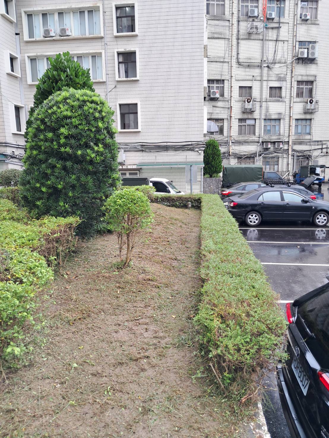 花圃修剪